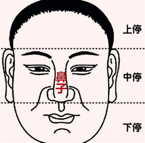 鼻子受傷面相|「面相」鼻為面王，鼻子看你性格和財運！